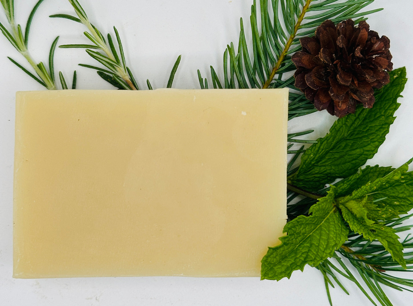 Peppermint Fir Milk & Tallow Bar