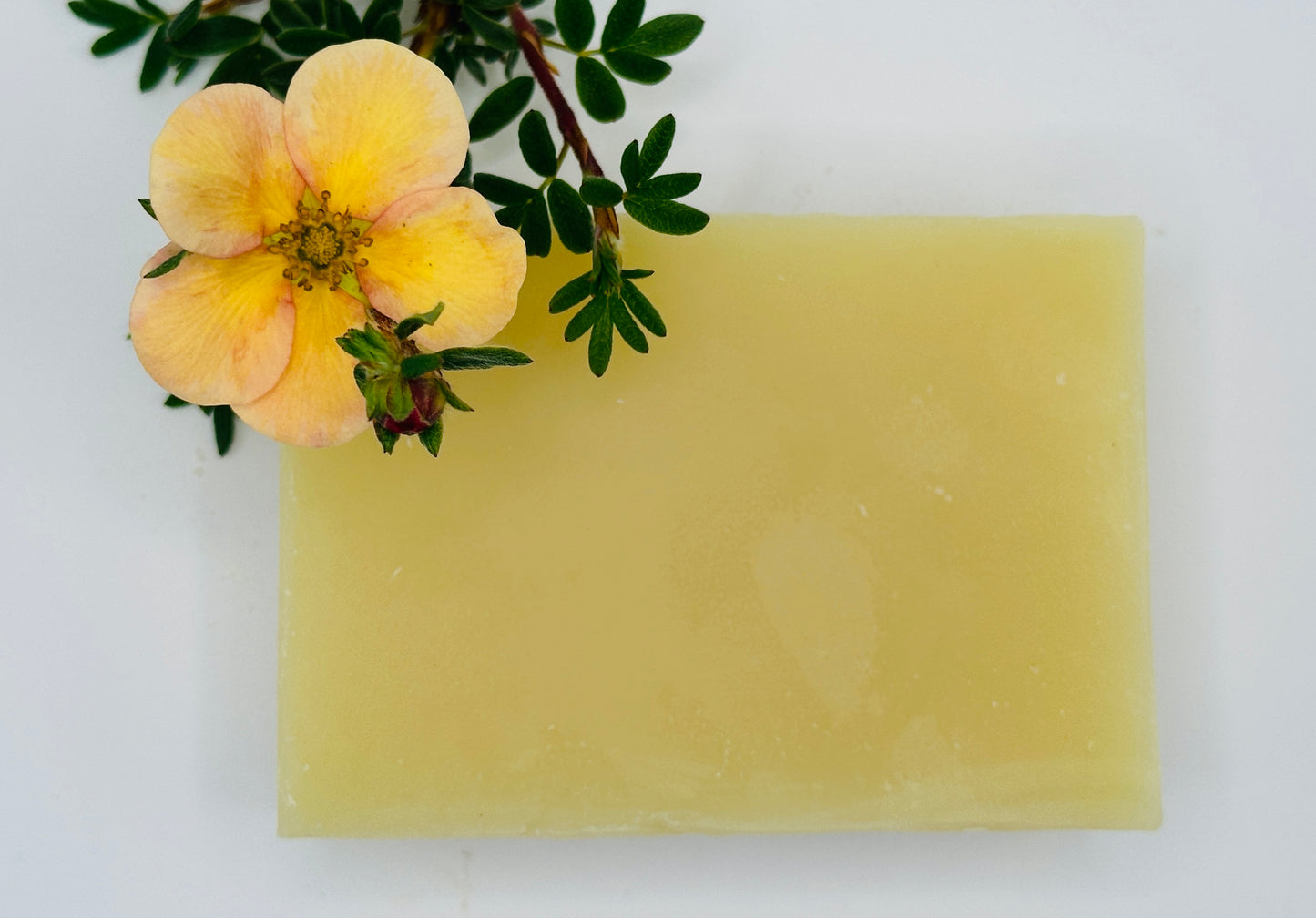 Chamomile and Calendula Shampoo Bar for Dry to Normal Hair